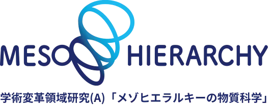 メゾヒエラルキー