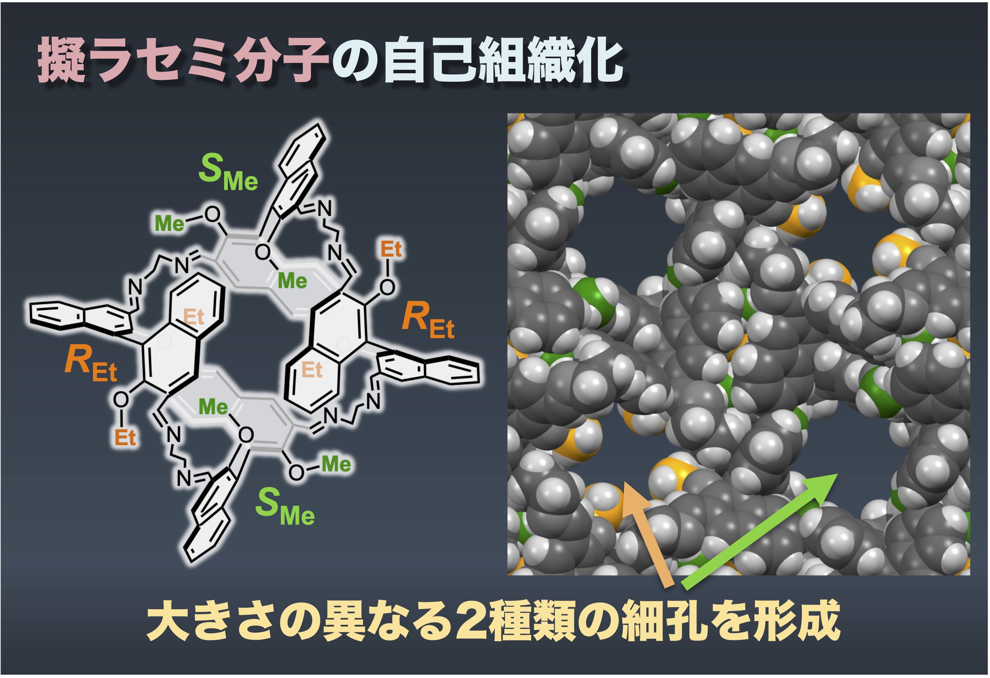 擬ラセミ自己集合によって形成された二種類の一次元細孔