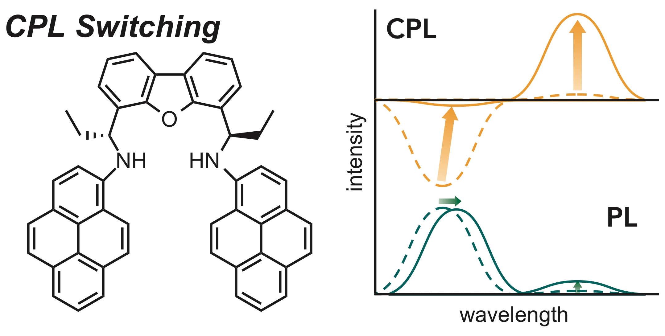 TOC graphic for Concentration-dependent circularly polarized luminescence (CPL) of chiral N , N ’-dipyrenyldiamines: sign-inverted CPL switching between monomer and excimer regions under retention of the monomer emission for photoluminescence