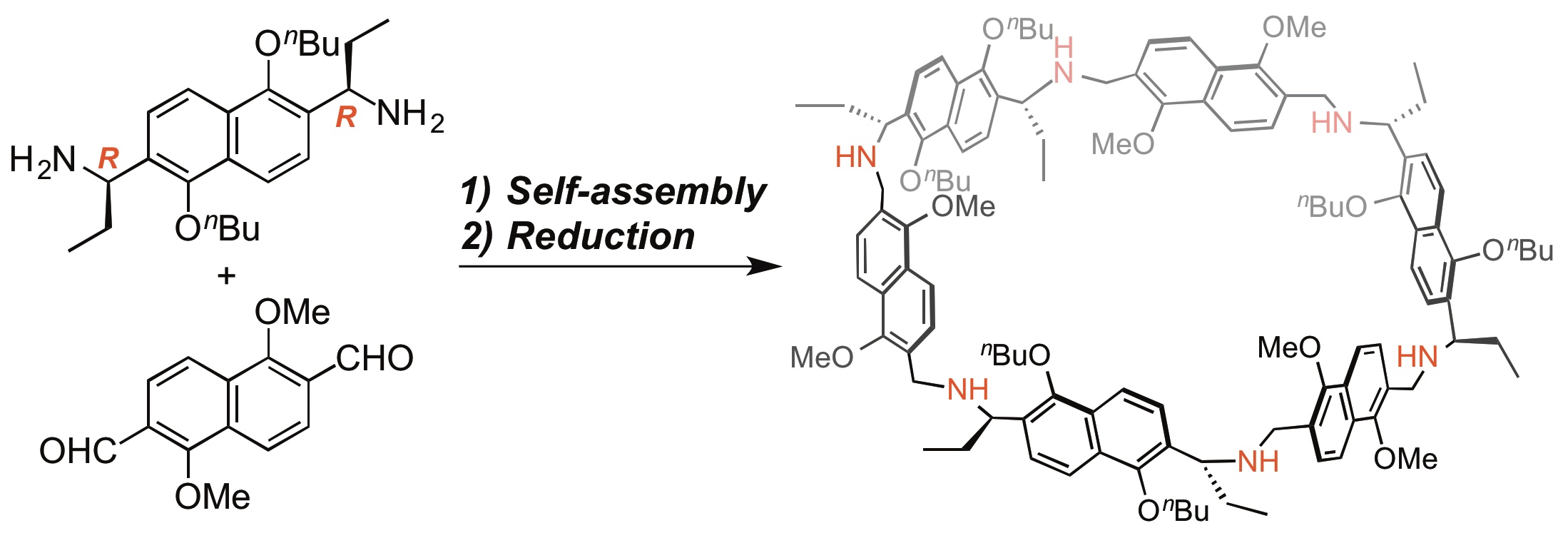 TOC graphic for Synthesis of Macrocyclic Hexamine from Naphthalene-based C 2 -Symmetric Chiral Diamine and Dialdehyde