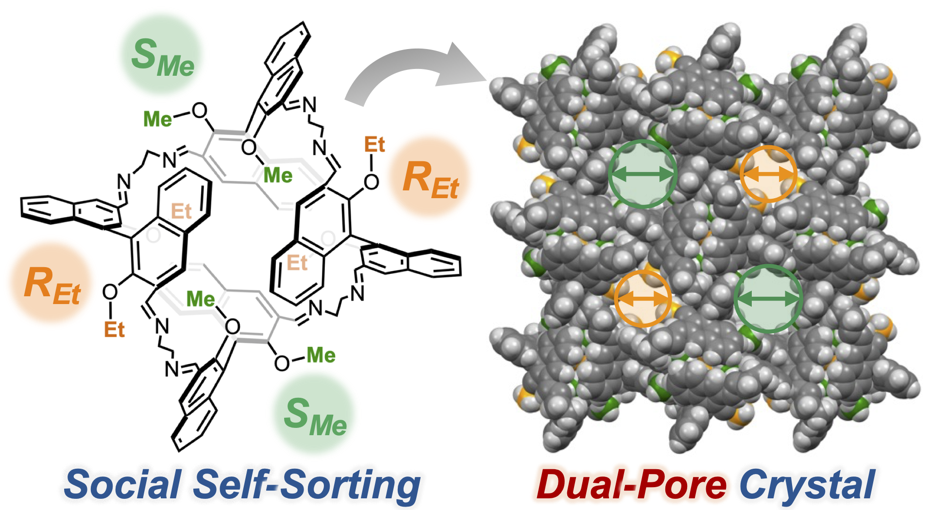 TOC graphic for Social Self-Sorting of Quasi-Racemates: A Unique Approach for Dual-Pore Molecular Crystals