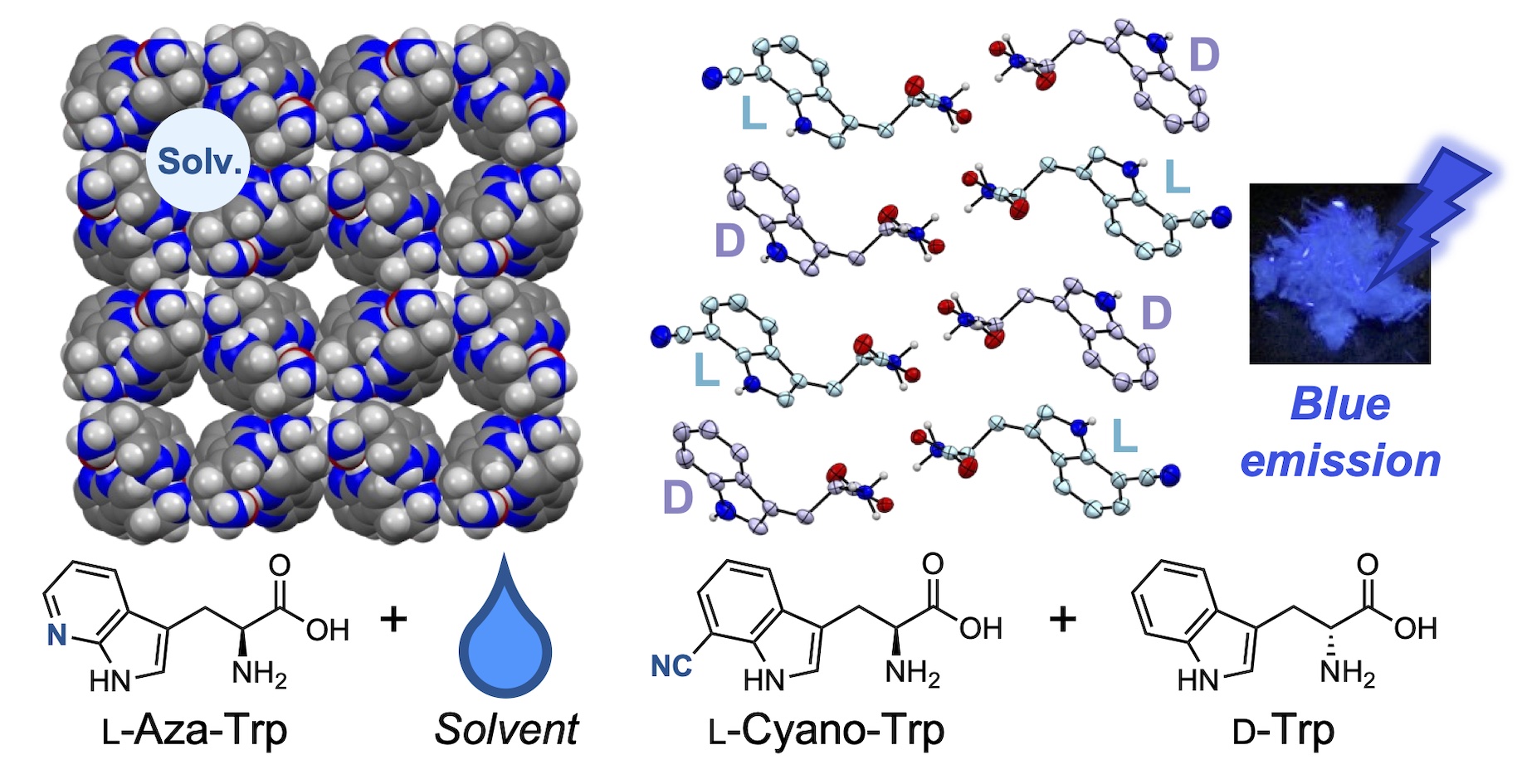 TOC graphic for Enantiopure and quasiracemic crystals of 7-substituted tryptophan derivatives: modulation of molecular arrangement for functionalized crystals