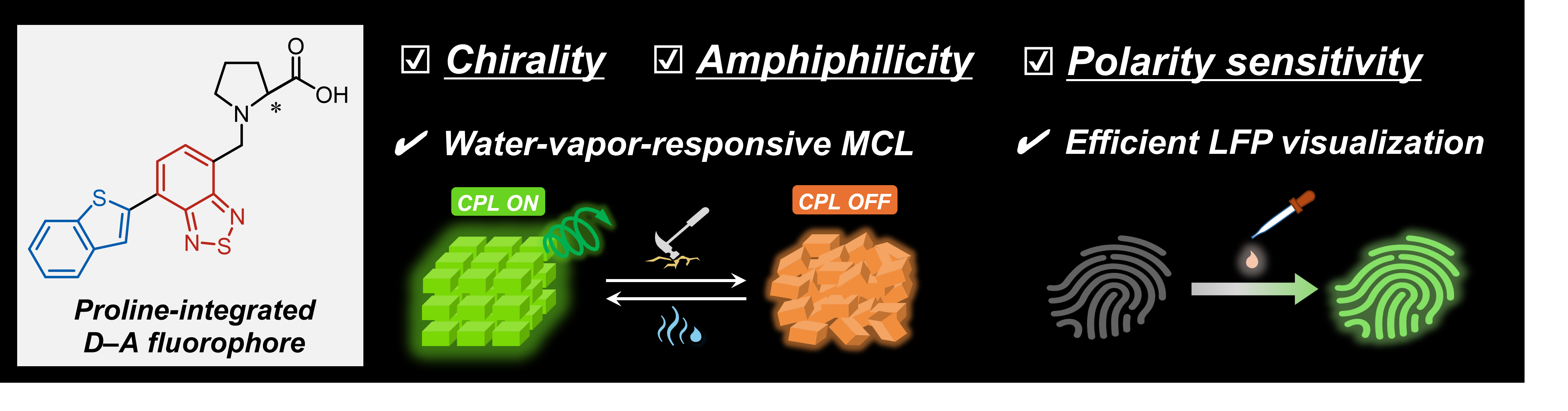 TOC graphic for A Proline-Integrated Donor–Acceptor Fluorophore: Water-Vapor-Responsive Mechanochromic Luminescence and Latent Fingerprint Visualization